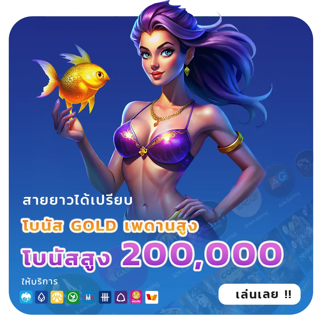 เว็บสล็อตสมาชิกเยอะ